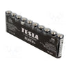 TESLA AA BATTERY
