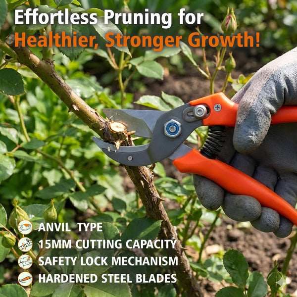 Falcon secateur, Falcon FPS-206, Pruning secateur, Pruning shears, Garden secateur, Pruning shear, Gardening tool, Horticulture tool, Plant pruning tool, Garden pruning shears, Nursery tool, Landscaping tool, Plant trimming tool
