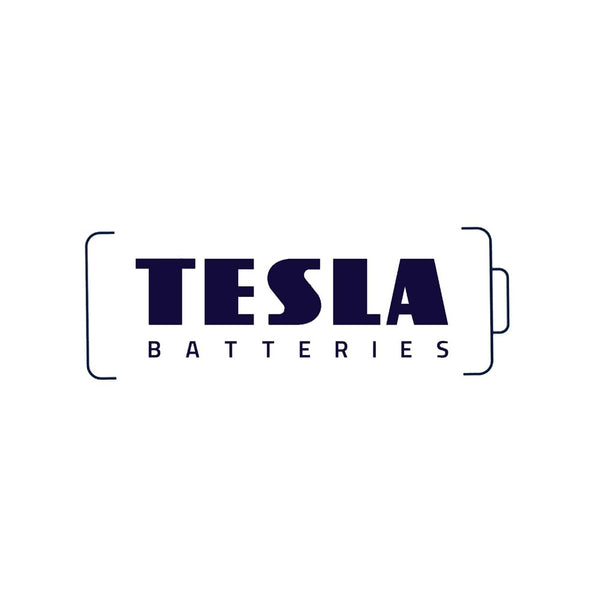 TESLA AA BATTERY 2PCS BLISTER