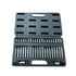 Craftshands 42Pcs Bit Set CT-2142-H | Multi-Purpose Screwdriver Bit Kit with Storage Case