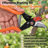 files/FALCONCUT_HOLDSECATEURFCHM-9023.jpg
