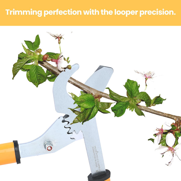 Falcon 2X Gear, Falcon Lopping Shear, 2X Gear Lopper, Bypass Lopper, Lopping Shear, Pruning Lopper, Tree Pruning Tool, Branch Cutter, Garden Lopper, Horticulture Tool, Gardening Tool, Tree Cutter, Plant Pruning Tool, 30mm Lopper