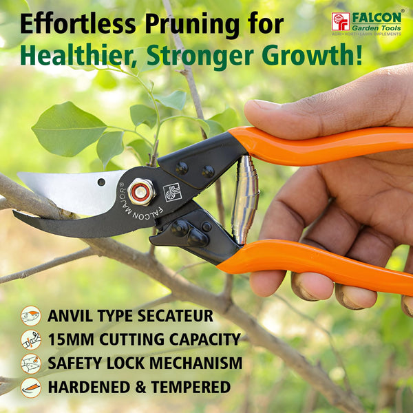 Falcon Major, Falcon Pruning Secateur, Bypass Secateur, Pruning Shear, Garden Secateur, Plant Pruner, Branch Cutter, Gardening Tool, Horticulture Tool, Nursery Tool, 15mm Pruning Tool, 225mm Secateur