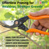 files/FALCONPRUNINGSECATEURMAJOR4.jpg