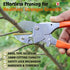 files/FALCONPRUNINGSECATEURREGULAR4.jpg