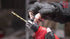 files/RalliWolfRED-101_f490bc22-3fdd-4586-9c45-042afce231cf.jpg
