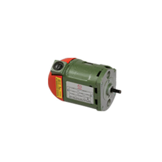 Ralli Wolf SPM 23 Special Purpose Motor for Circuit Breaker Applications, 220V AC/DC