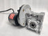 files/RalliWolfSPM24_Ralli_Wolf_special_purpose_motor.webp