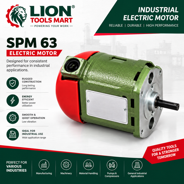 Ralli Wolf SPM 63 Special Purpose Motor for Circuit Breaker Applications, 220V DC