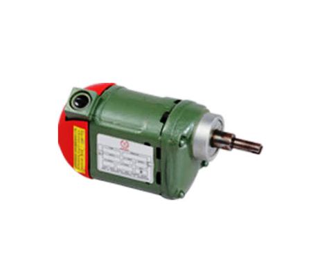 Ralli Wolf SPM 8 Special Purpose Motor – Circuit Breaker Application, 220V AC/DC