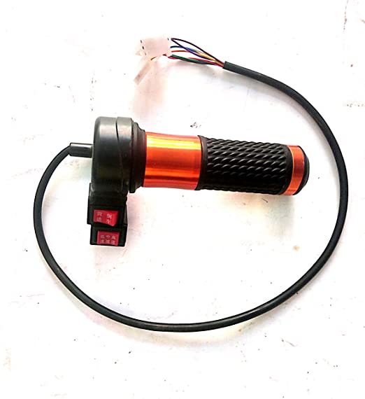 LION EV DOUBLE SIDE THREE SPEED THROTTLE WITH F/R