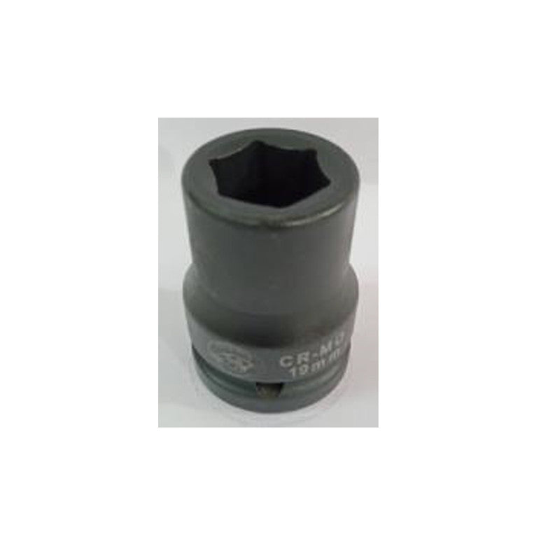 PANTHER 3/4INCH CRMO SOCKET 19MM CRMO19M